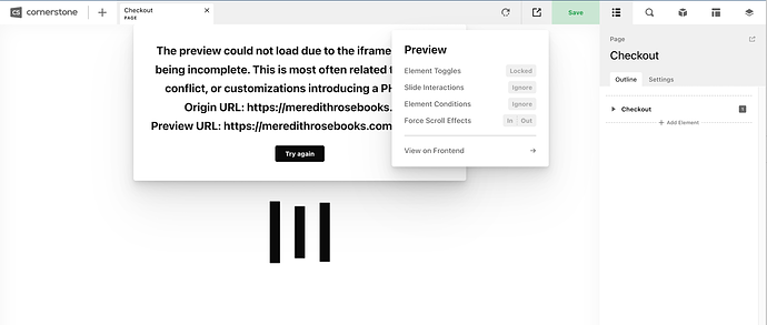 Checkout Page showing Preview options