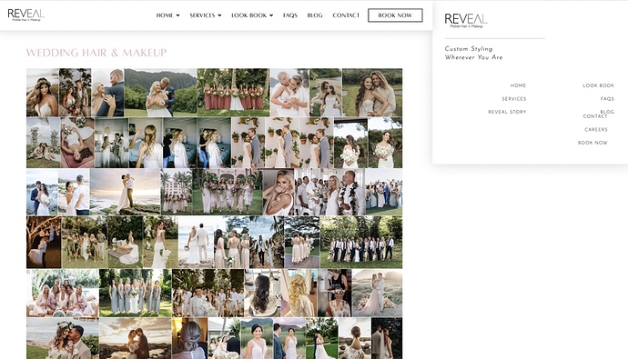 Screen Shot 2023-03-12 at 12.19.10 PM Large