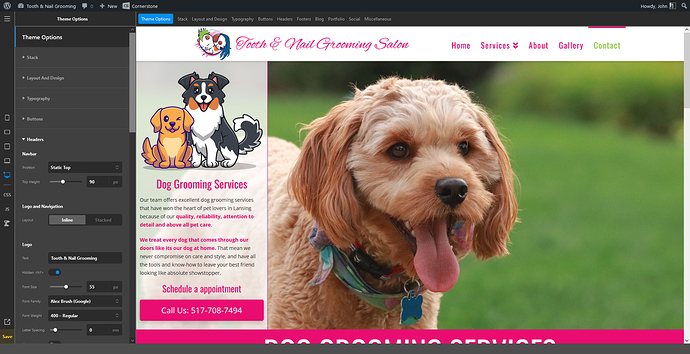 Screenshot-2022-10-15-at-15-55-50-Theme-Options---Pro