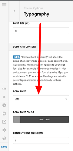 Theme-Options-Pro (54)
