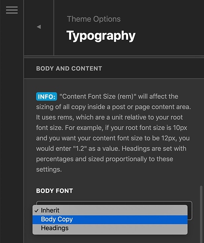 Theme_Options_-_Pro