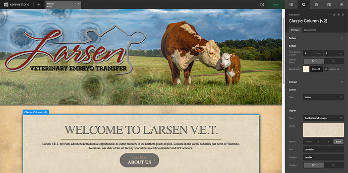 screencapture-larsenvet-cornerstone-edit-2-2023-02-02-15_48_08