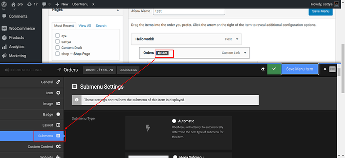 Menus-‹-pro-—-WordPress