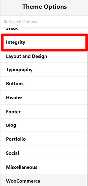 Theme_Options_Pro