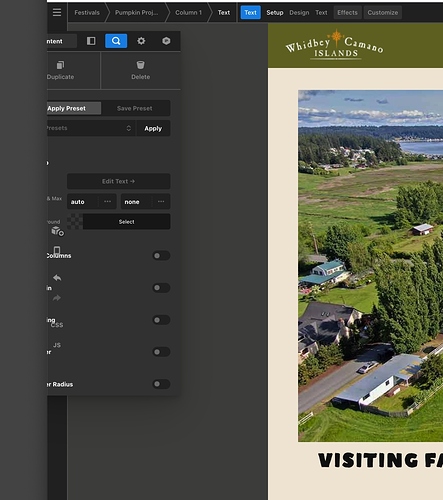 Screen Shot 2021-08-29 at 11.32.46 AM