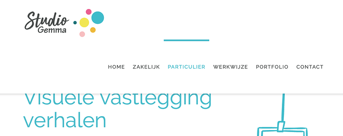 Schermafbeelding 2020-08-06 om 09.42.32