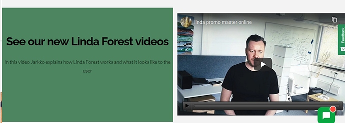 video player on the page