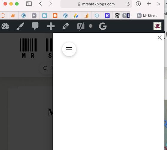 Screenshot 2021-04-19 at 13.08.47