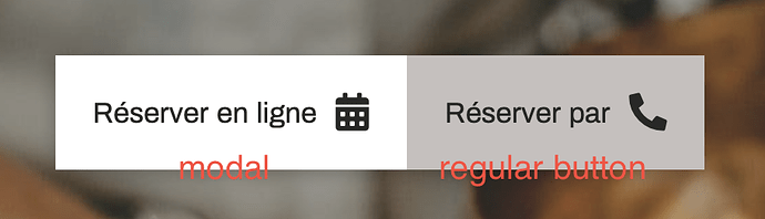 Screen Shot 2021-02-15 at 4.39.01 PM
