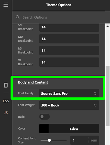 Theme-Options-Pro (63)