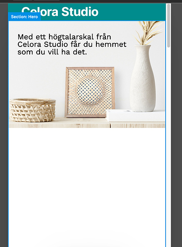 Screenshot 2021-01-30 at 2