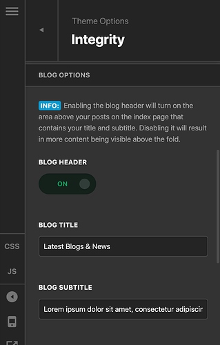 Theme_Options_-_Pro
