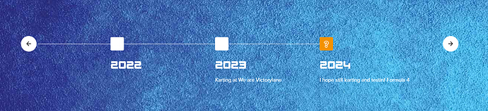 FireShot Capture 328 - timeline - E-Commerce Revolution - lapauline.nl