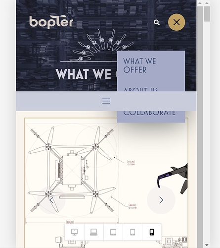 Bopter-capture1