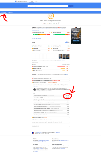 PageSpeed Insights