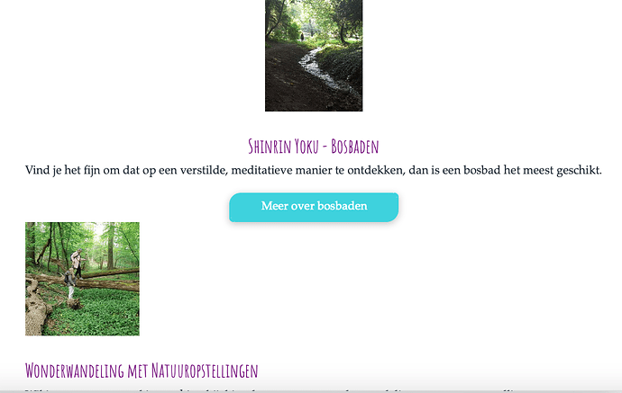 Schermafbeelding 2020-07-30 om 12.40.48