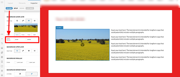 Test-19-08-2020-Content-Pro (12)