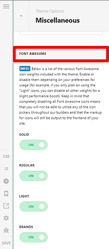 Theme-Options-Pro (20)
