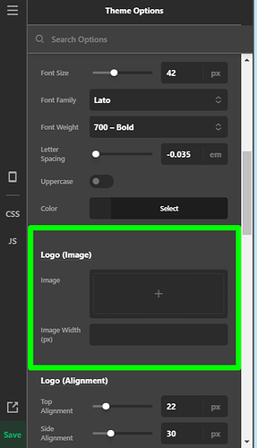 Theme-Options-Pro (62)
