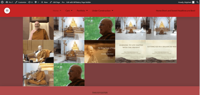Pro_7_Just_another_WordPress_site (2) (1)