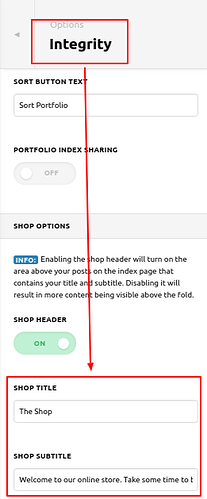 Theme-Options-X