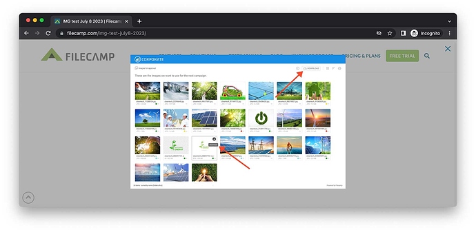Screenshot-2023-07-10-at-11.05.05