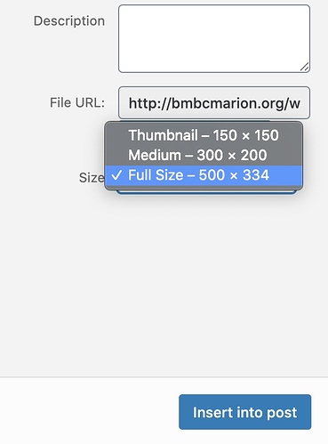 Screen Shot 2020-12-24 at 12.59.21 PM