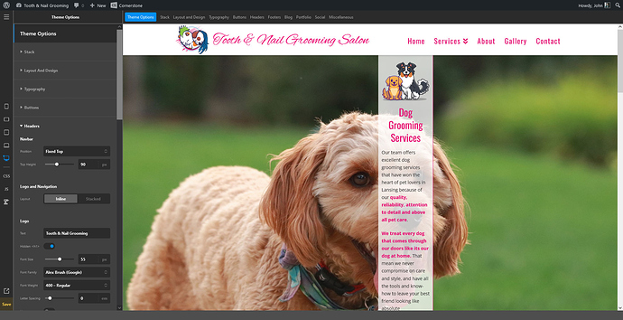 Screenshot-2022-10-15-at-15-55-18-Theme-Options---Pro