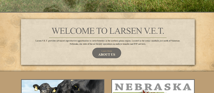 image - 2023-02-07T155725.050