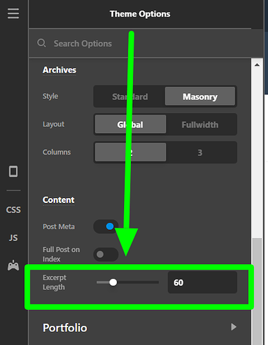 Theme-Options-Pro (77)