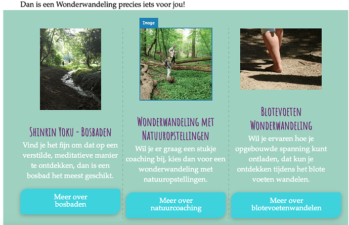 Schermafbeelding 2020-07-30 om 12.41.02