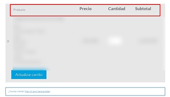 Finalizar-compra-Laforet-Languages