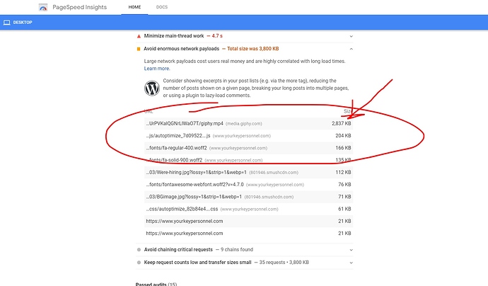 PageSpeed Insights