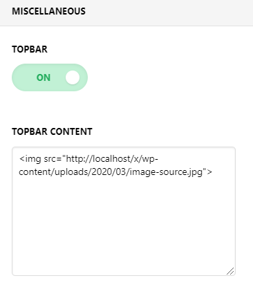 Theme Options - X (1)