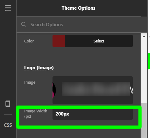 Theme-Options-X (42)