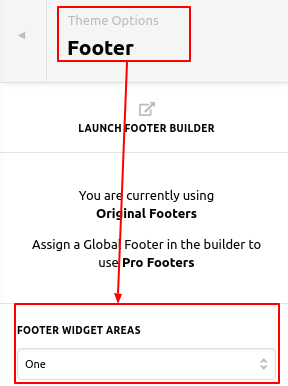 foot1