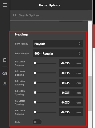 Theme-Options-Pro (2)