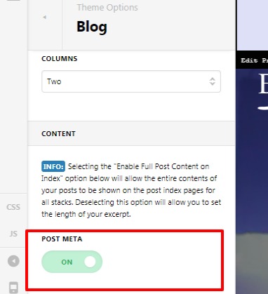 Theme-Options-Pro