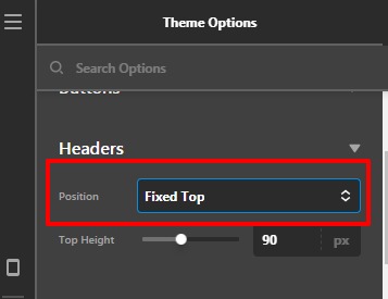 Theme-Options-Procc