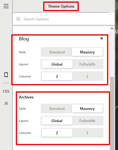 Theme-Options-Pro (2)