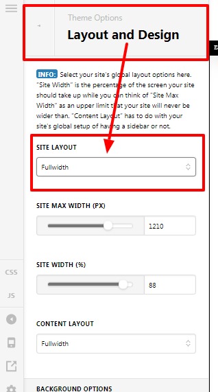 Theme-Options-Pro