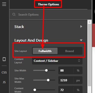 Theme-Options-Pro (2)