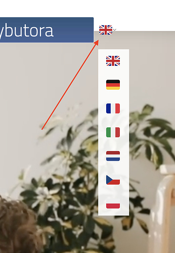 Screen Shot 2022-08-01 at 08.59.29