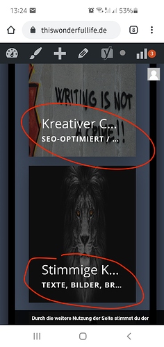 Screenshot_20210120-132413_Chrome