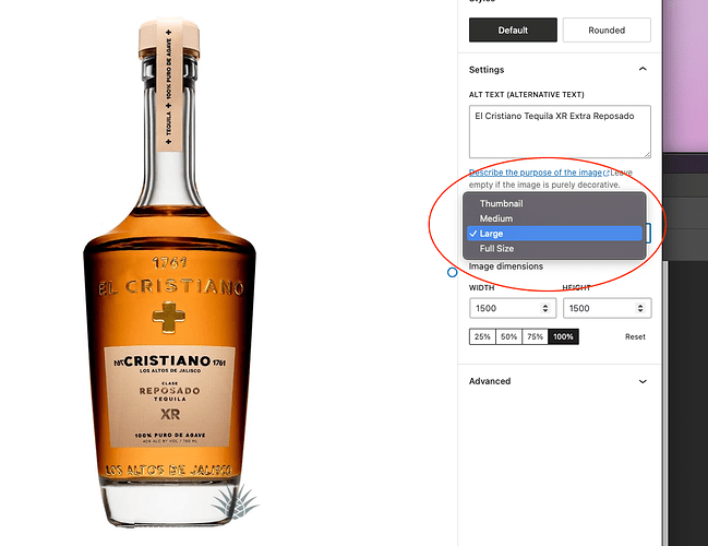 Screen Shot 2023-04-27 at 10.17.14 am