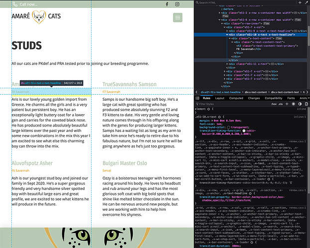 Screenshot 2021-03-29 at 13.36.04