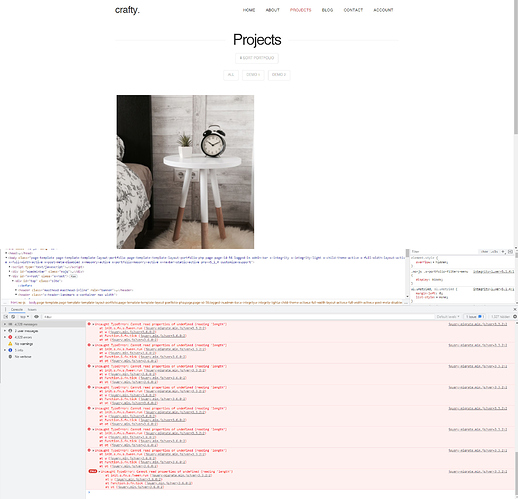 Portfolio error