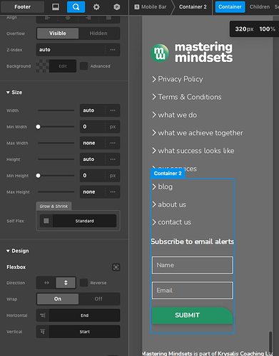 container-footer