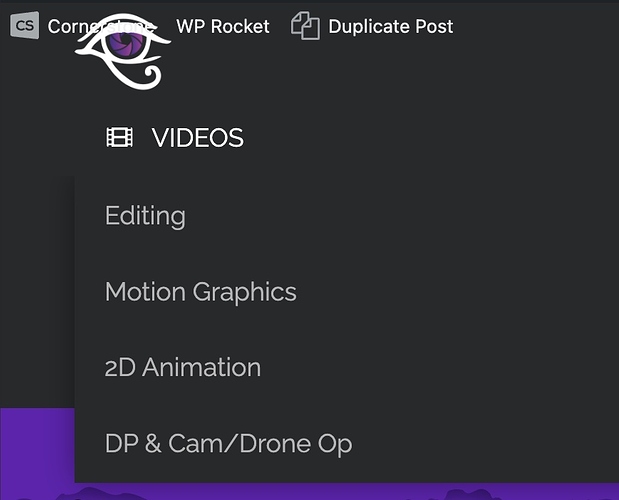 Screen Shot 2022-06-13 at 2.13.20 PM