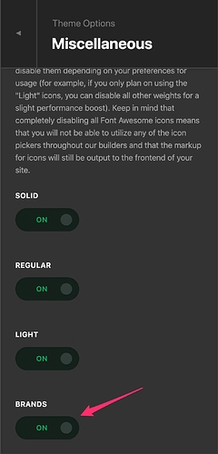 Theme_Options_-_Pro